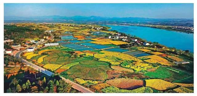 4666c351ea8b4a08af47d1db86c719af.jpeg 4666c351ea8b4a08af47d1db86c719af.jpeg