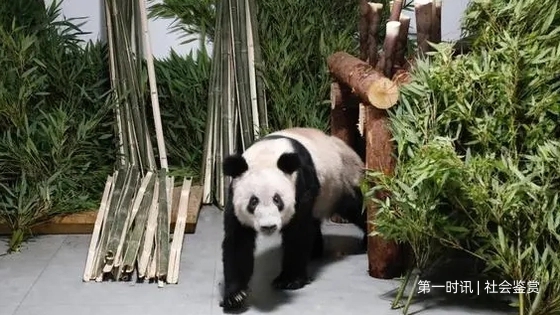 1111.webp.jpg 1111.webp.jpg