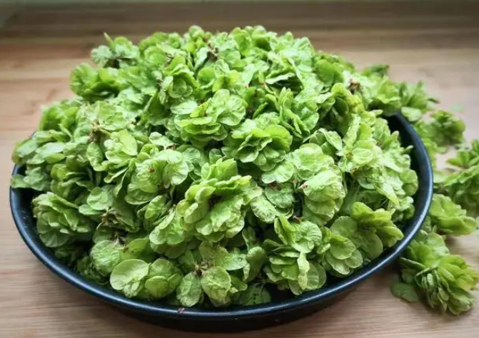 微信图片_20240409173133.png 微信图片_20240409173133.png