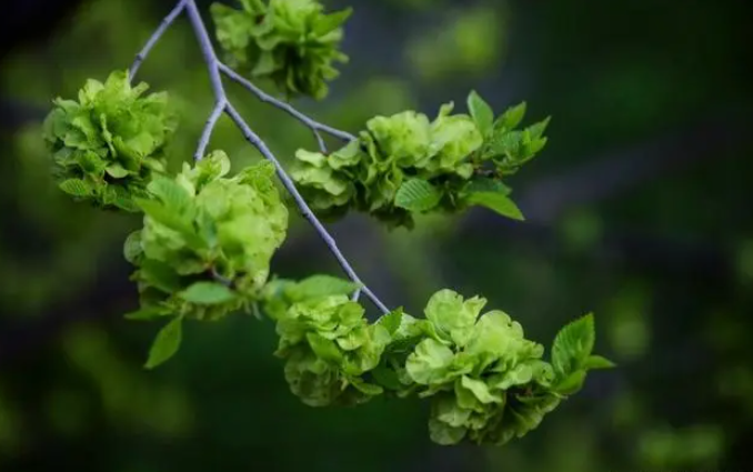 微信图片_20240409173221.png 微信图片_20240409173221.png