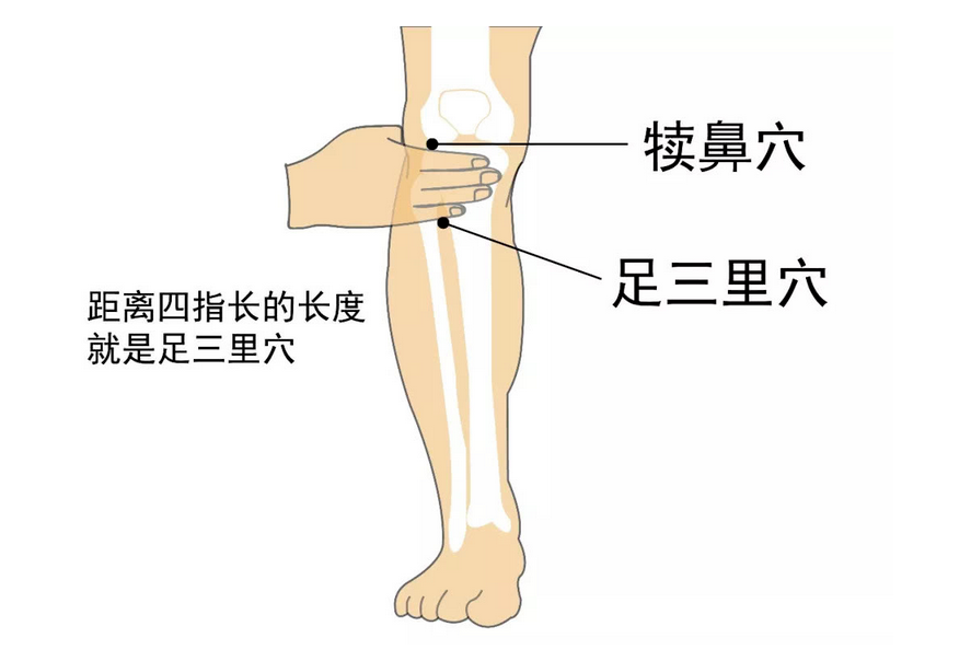 微信图片_20240812073838.png