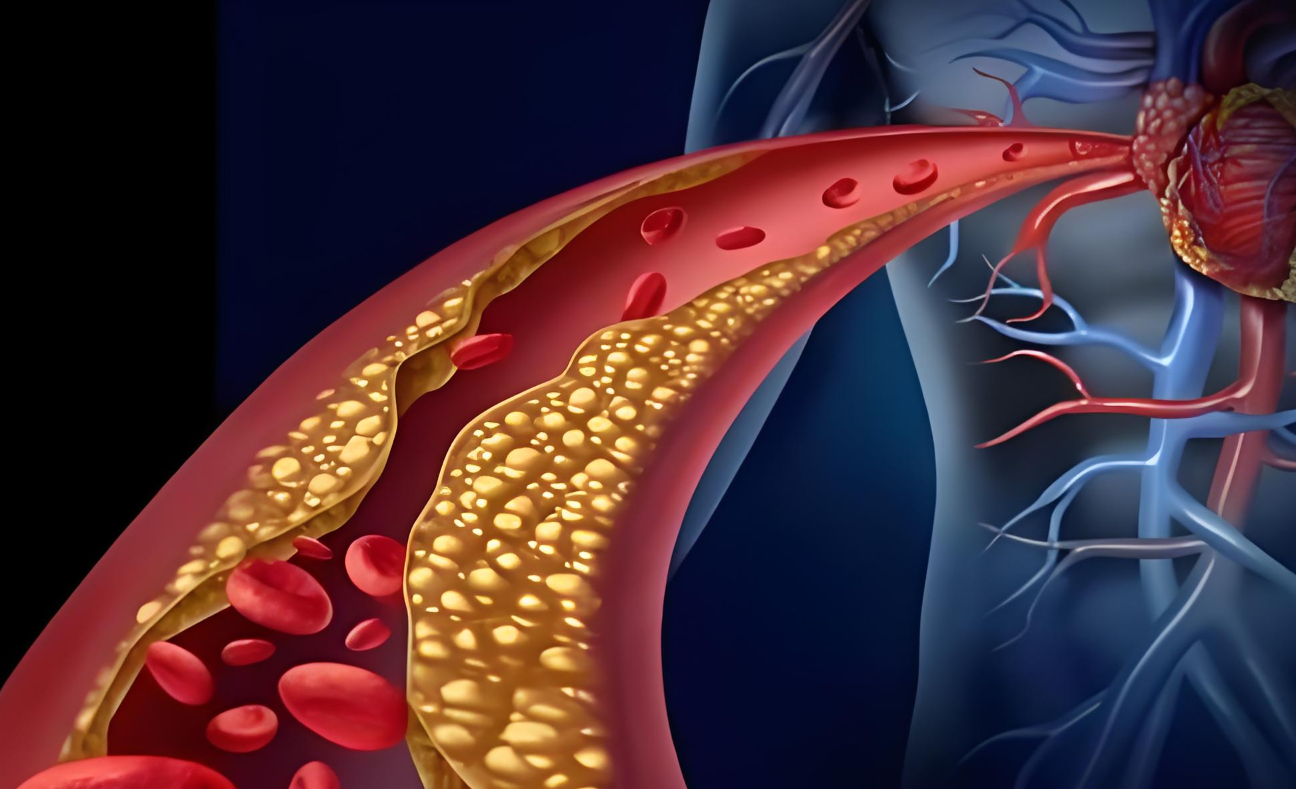 微信图片_20240910104204.png 微信图片_20240910104204.png