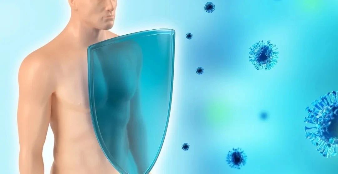 微信图片_20240912085335.jpg 微信图片_20240912085335.jpg