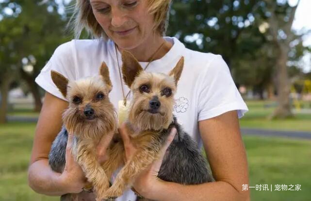 QQ截图20230831171220.jpg QQ截图20230831171220.jpg