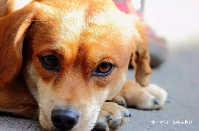 QQ截图20231030164530.jpg QQ截图20231030164530.jpg