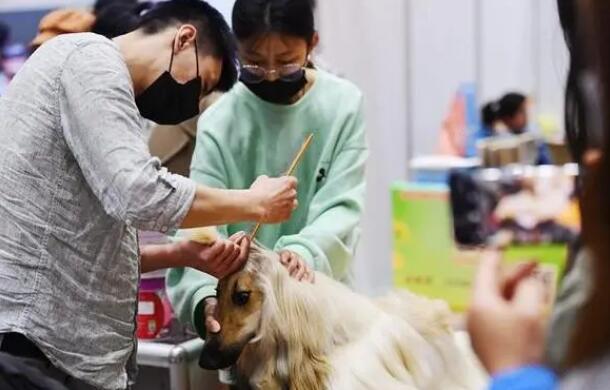 QQ截图20240115170021.jpg QQ截图20240115170021.jpg