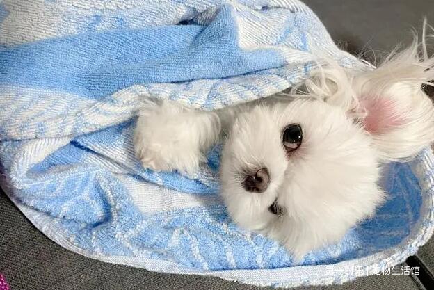 QQ截图20230308154102.jpg QQ截图20230308154102.jpg