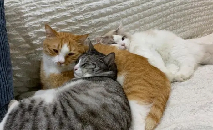 微信截图_20240130105108.png 微信截图_20240130105108.png