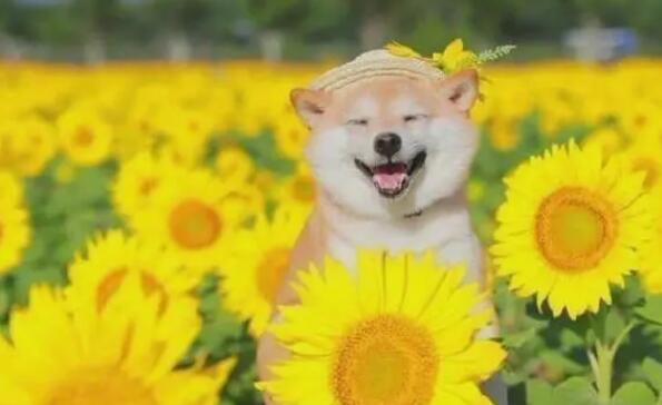 QQ截图20231213145140.jpg QQ截图20231213145140.jpg