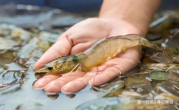 QQ截图20230319125848.jpg QQ截图20230319125848.jpg