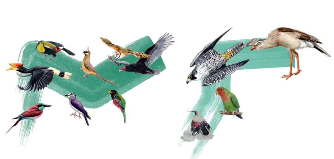 微信图片_20240402162704.jpg 微信图片_20240402162704.jpg