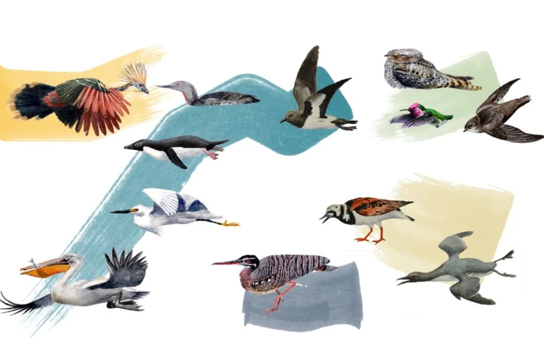 微信图片_20240402162657.jpg 微信图片_20240402162657.jpg