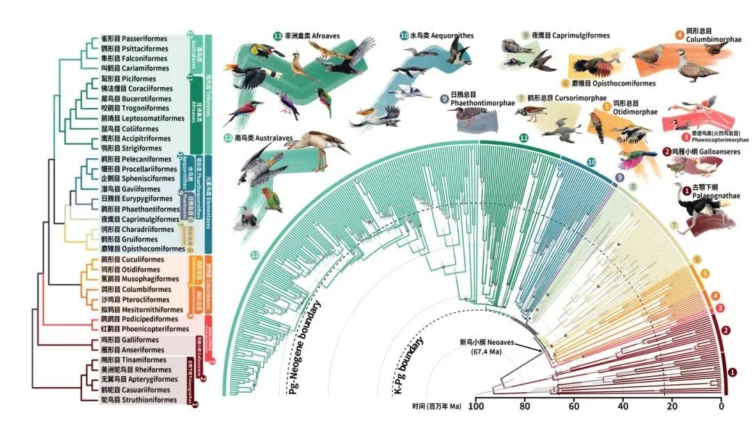微信图片_20240402162518.jpg 微信图片_20240402162518.jpg