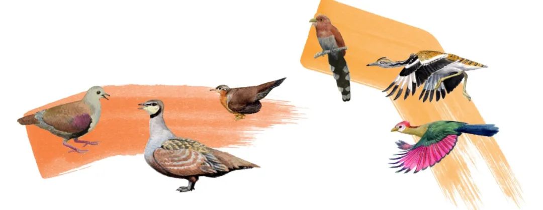 微信图片_20240402162650.jpg 微信图片_20240402162650.jpg