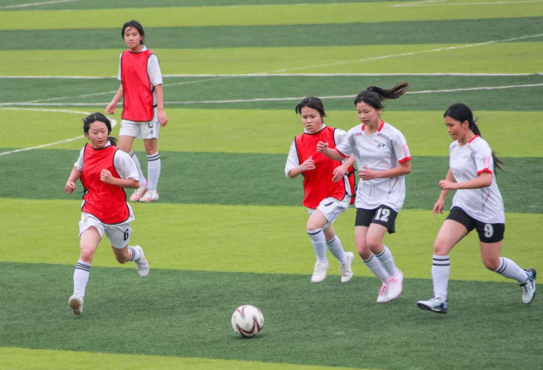 微信图片_20240327074353.png 微信图片_20240327074353.png