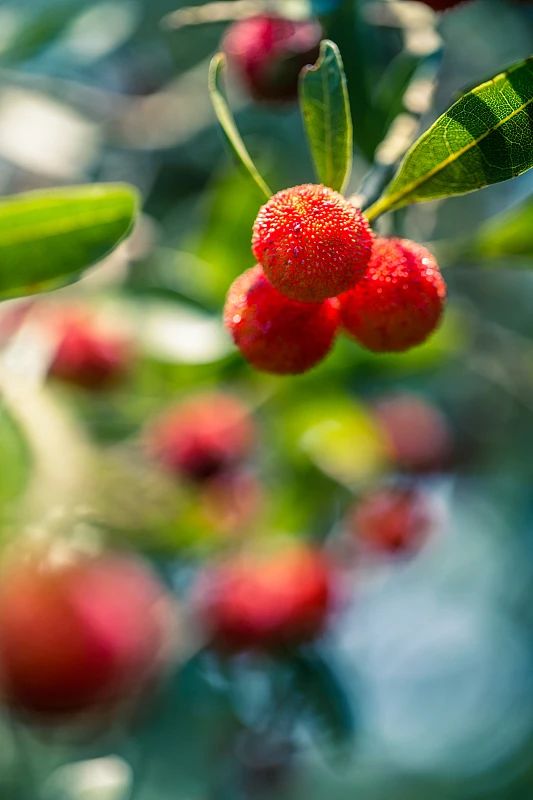 微信图片_20240520081818.jpg 微信图片_20240520081818.jpg