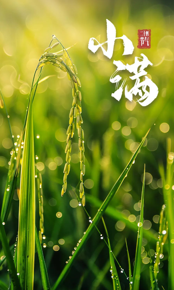 微信图片_20240520082004.png 微信图片_20240520082004.png