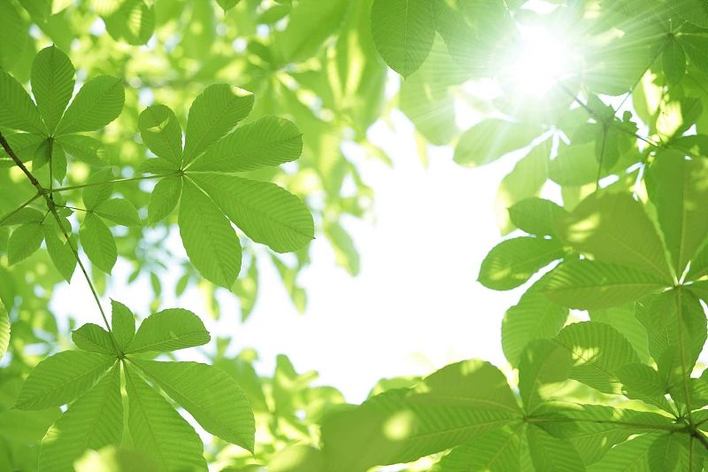 微信图片_20240520081800.jpg 微信图片_20240520081800.jpg