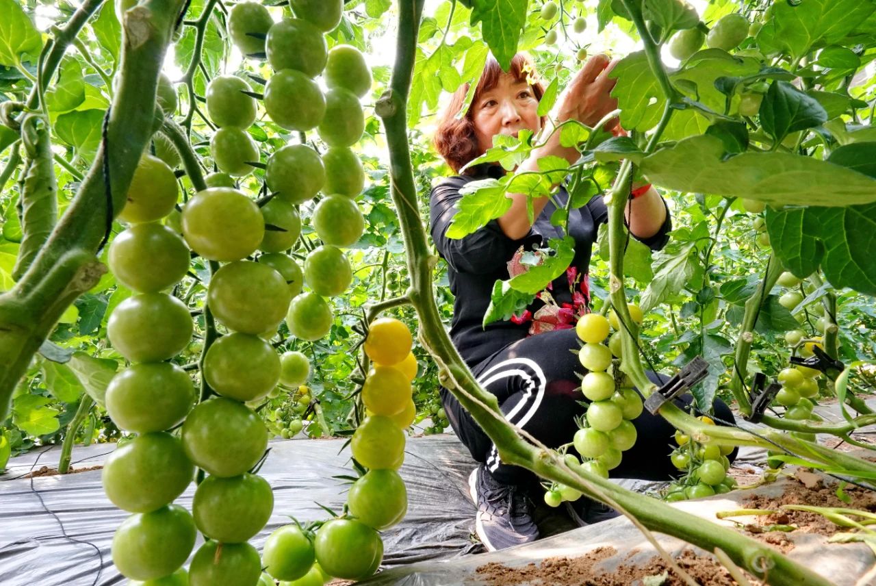 微信图片_20250112092102.jpg 微信图片_20250112092102.jpg