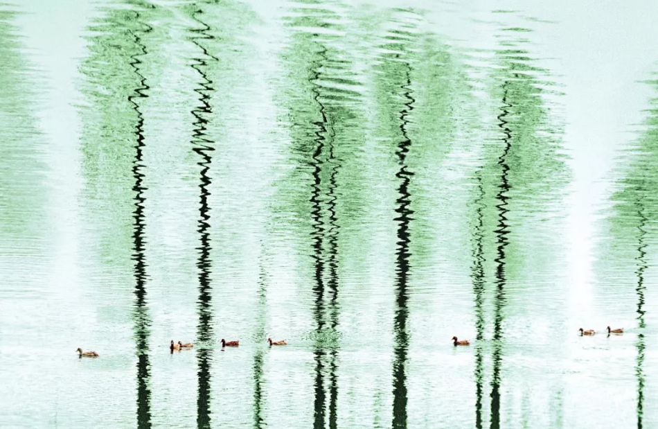 微信图片_20250203082446.png 微信图片_20250203082446.png