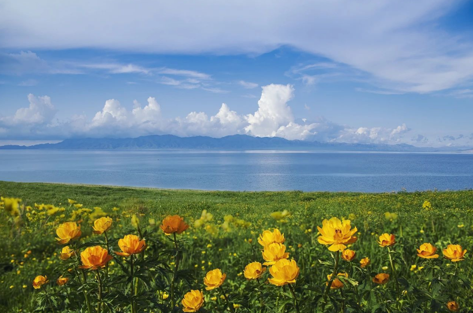 微信图片_20250203082640.png 微信图片_20250203082640.png