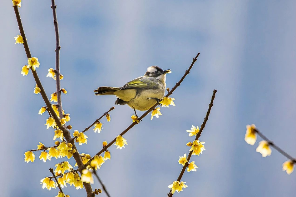 微信图片_20250203082357.png 微信图片_20250203082357.png