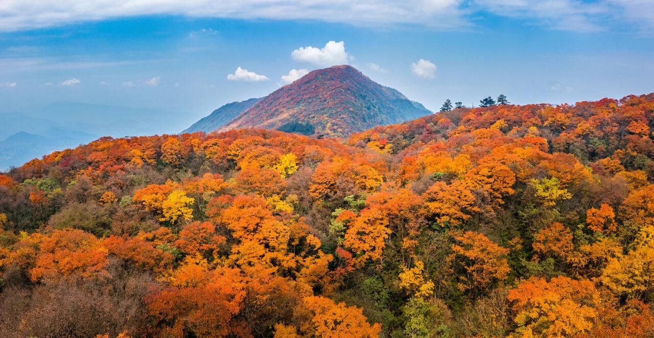 微信图片_2025-10-08_093055_782.jpg 微信图片_2025-10-08_093055_782.jpg