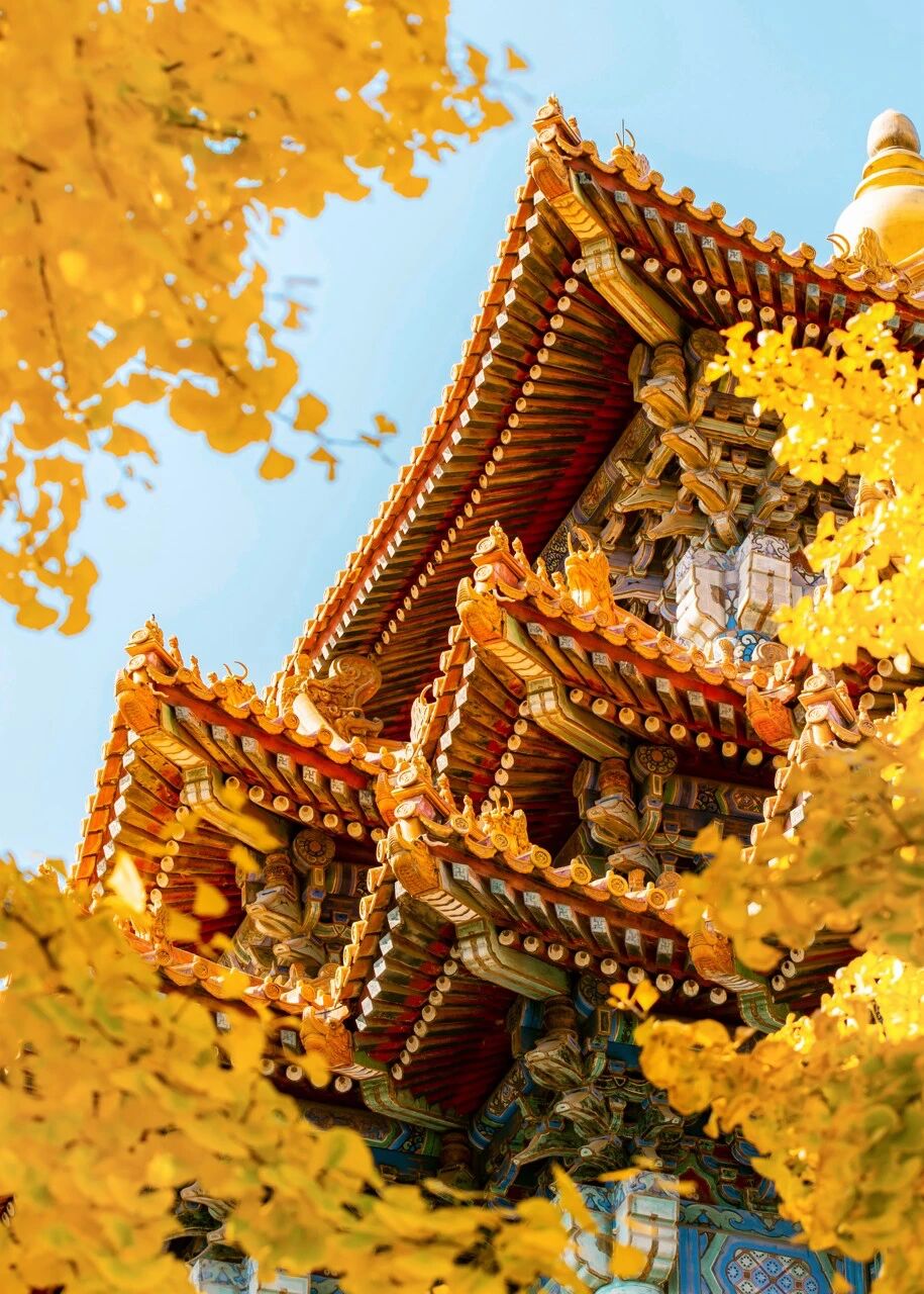 微信图片_2025-10-08_093049_455.jpg 微信图片_2025-10-08_093049_455.jpg