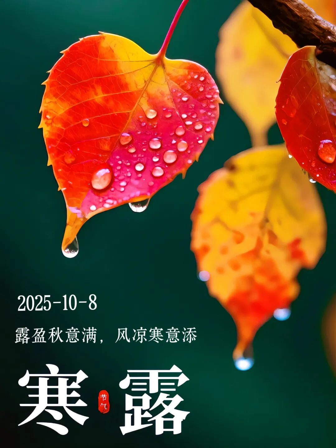 微信图片_20251008100632_458_21.jpg 微信图片_20251008100632_458_21.jpg