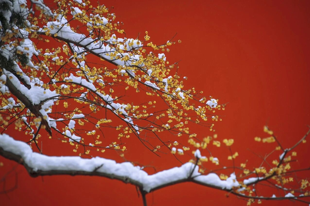 微信图片_20251207094041_1403_21.png 微信图片_20251207094041_1403_21.png