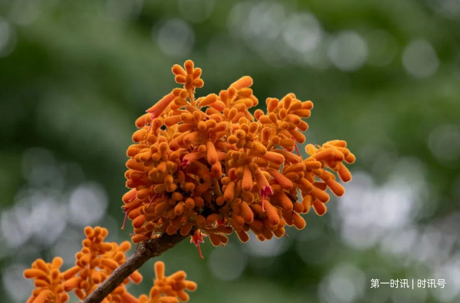 QQ截图20230527074306.png QQ截图20230527074306.png