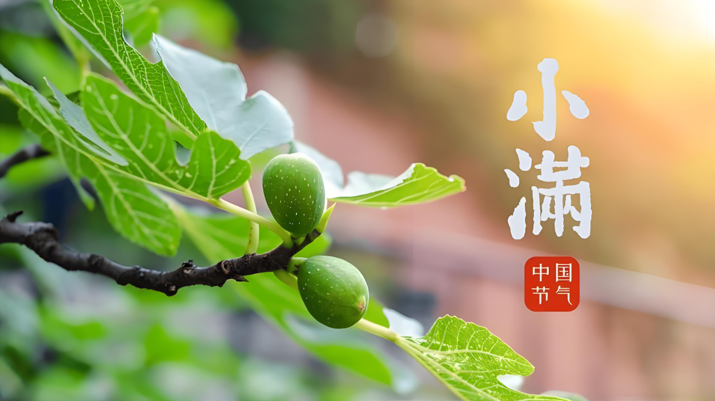 微信图片_20240520074702.png 微信图片_20240520074702.png