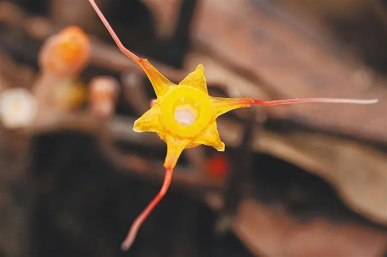 微信图片_20240614063856.jpg 微信图片_20240614063856.jpg