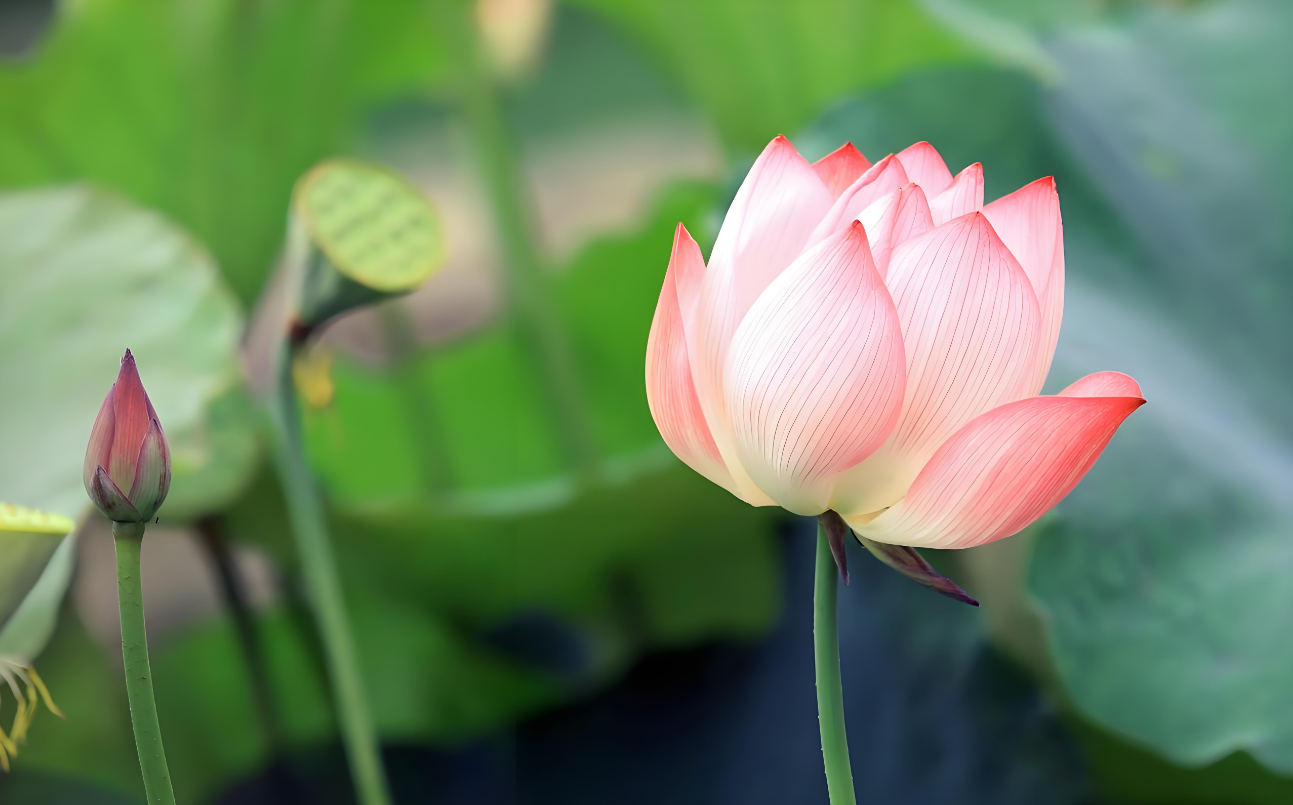 微信图片_20240524182508.png 微信图片_20240524182508.png