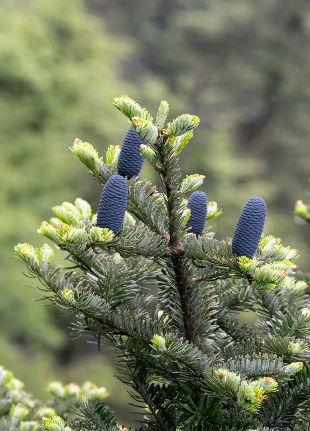 微信图片_20240708063321.jpg 微信图片_20240708063321.jpg