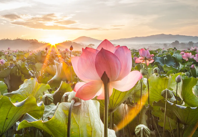 微信图片_20240718071241.png 微信图片_20240718071241.png