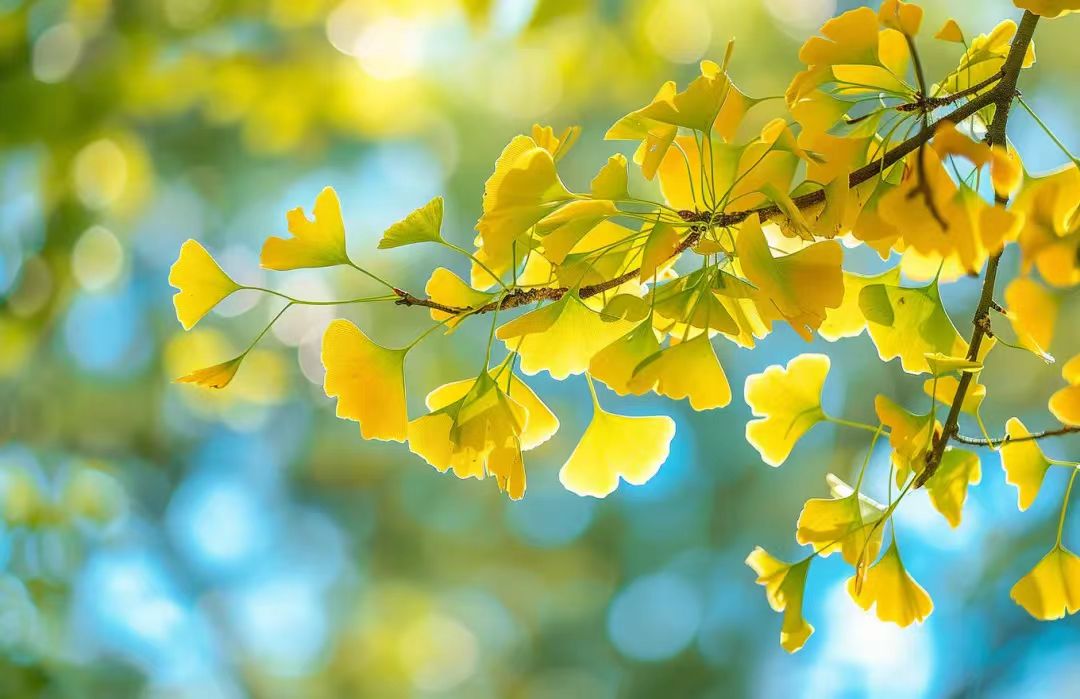 微信图片_20240916073550.jpg 微信图片_20240916073550.jpg