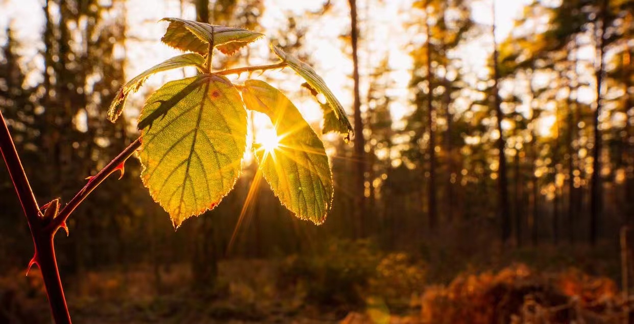 微信图片_20241010074134.jpg 微信图片_20241010074134.jpg