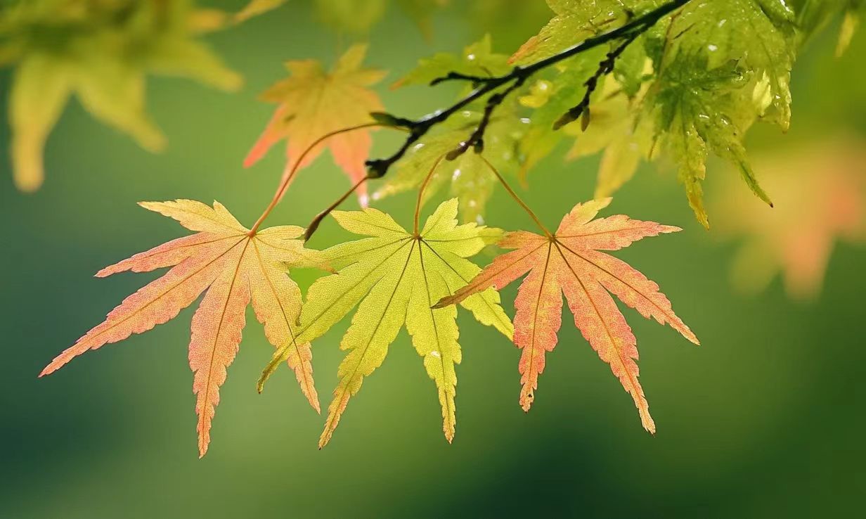 微信图片_20241011081812.jpg 微信图片_20241011081812.jpg