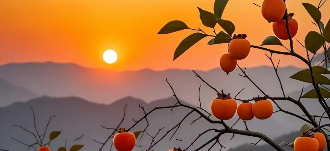 微信图片_20241107072943.jpg 微信图片_20241107072943.jpg