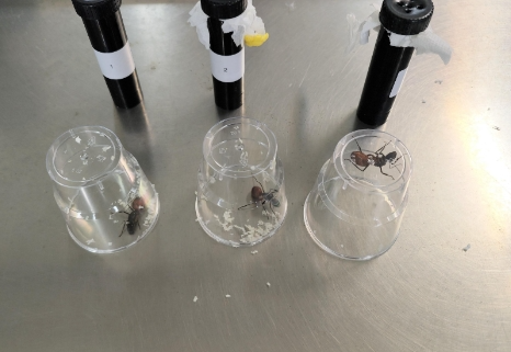 微信图片_20241107070945.png 微信图片_20241107070945.png