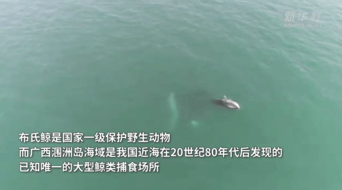 微信图片_20250109074420.gif 微信图片_20250109074420.gif