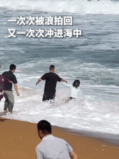 微信图片_20250203074639.gif 微信图片_20250203074639.gif