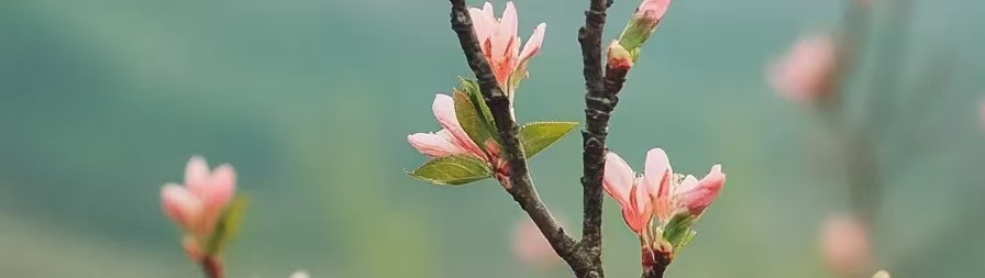 微信图片_20250203075304.jpg 微信图片_20250203075304.jpg