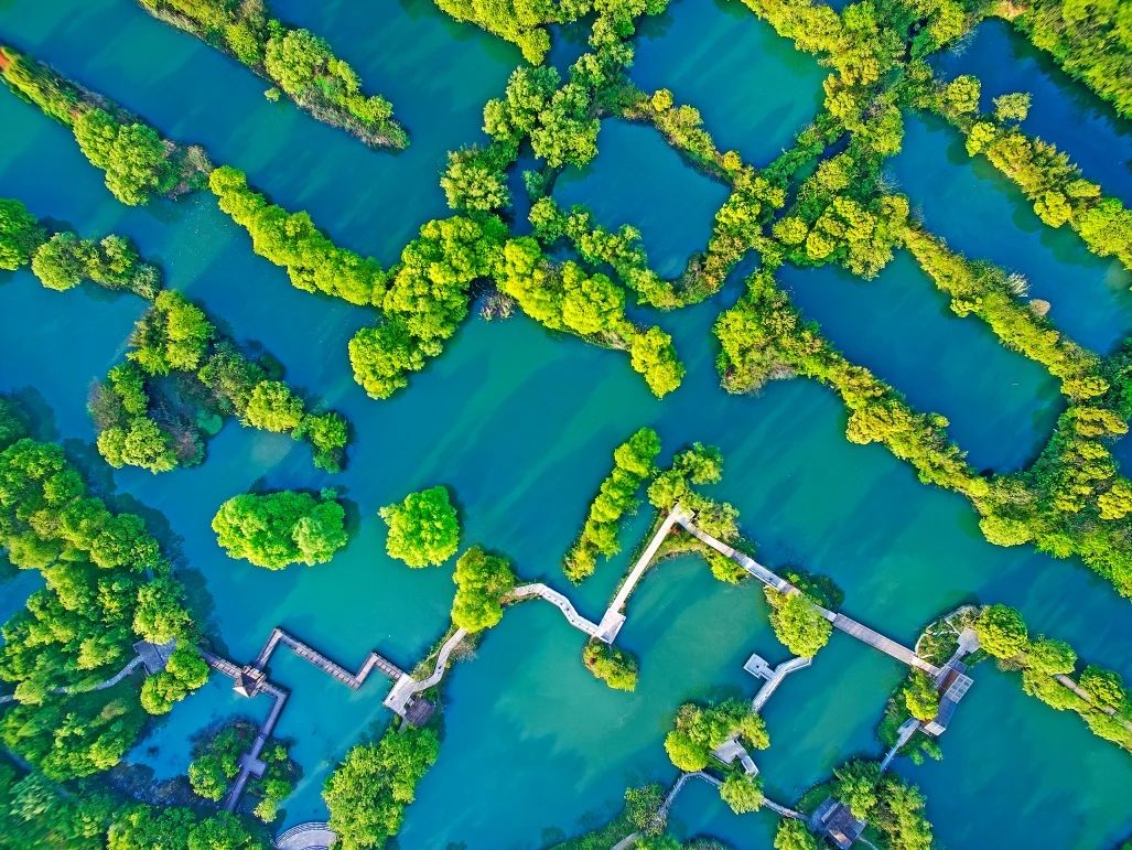 微信图片_20250203074626.jpg 微信图片_20250203074626.jpg