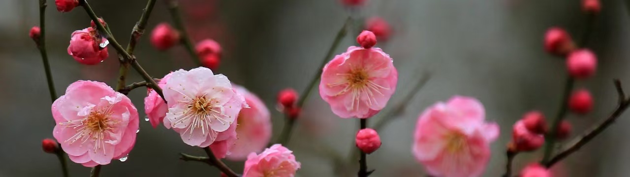 微信图片_20250207075743.jpg 微信图片_20250207075743.jpg