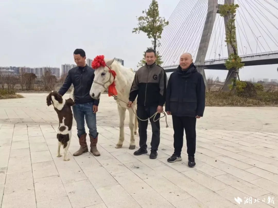 微信图片_20250207075049.jpg 微信图片_20250207075049.jpg