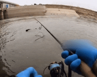 微信图片_20250208075557.gif 微信图片_20250208075557.gif