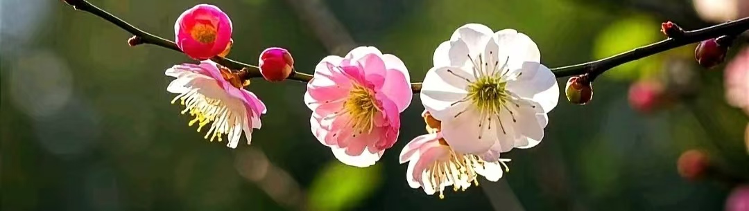 微信图片_20250221093410.jpg 微信图片_20250221093410.jpg