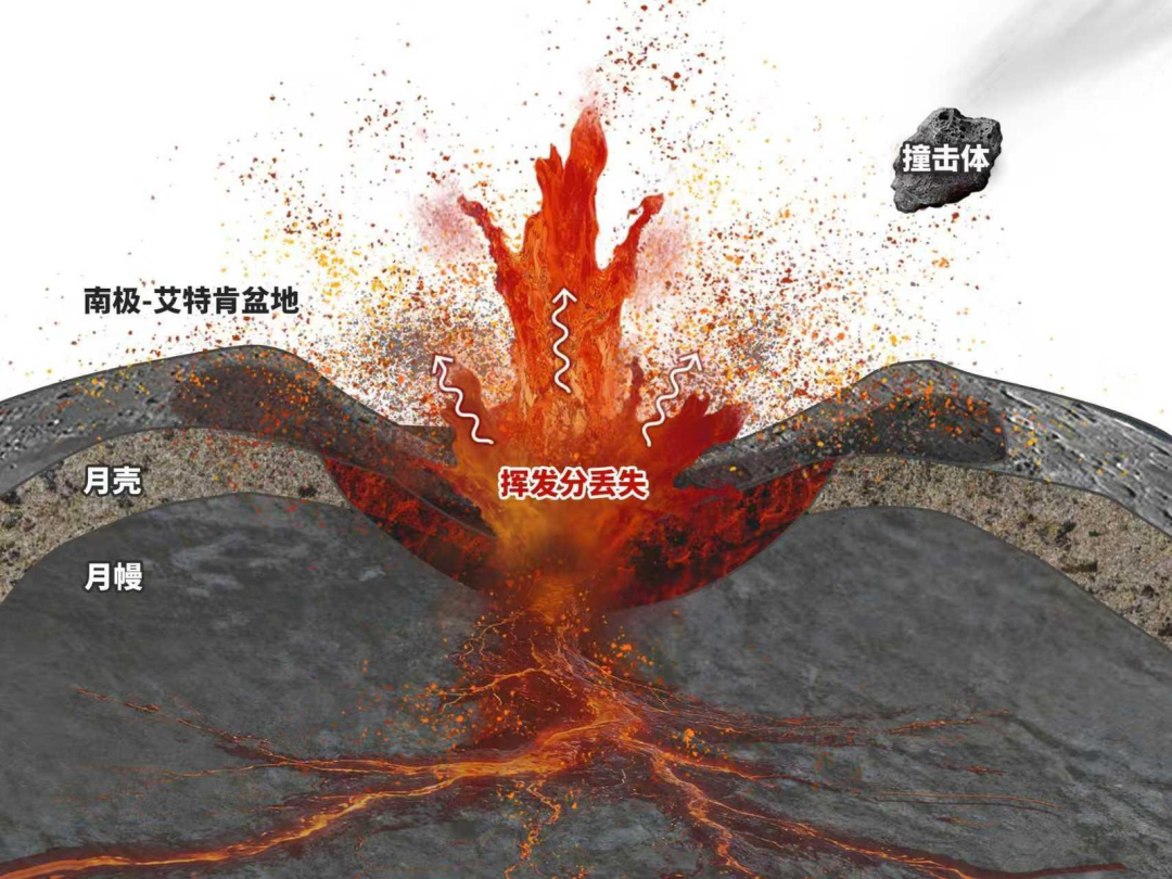 微信图片_2026-01-14_064045_816.png